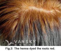 240822110603_Hair-Dying with henna-s.jpg